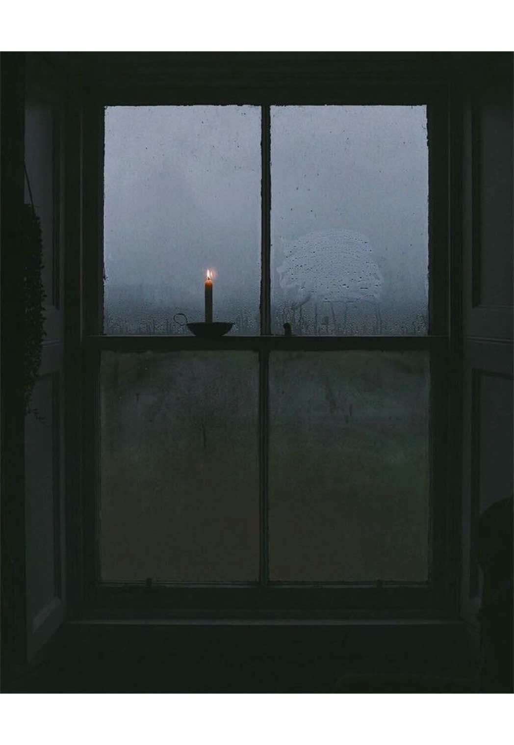 @amibooks3
