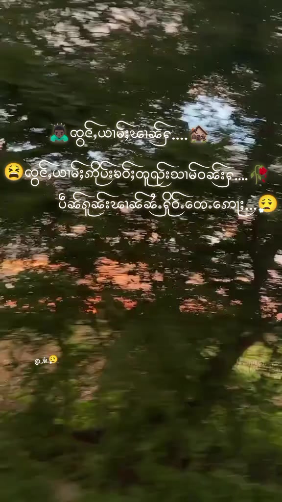 @๐งแแฎแ แแผแบแธ๐น๐ญ๐59๐