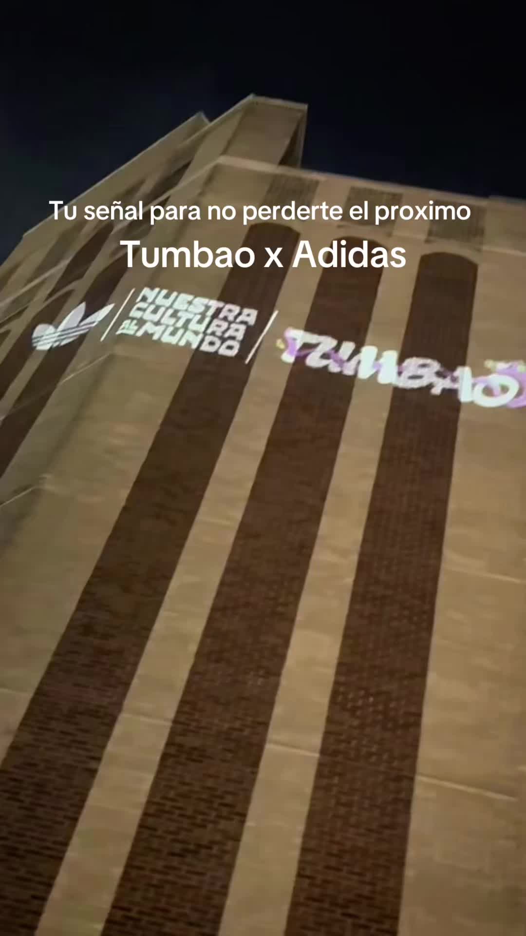 @L U P I T A