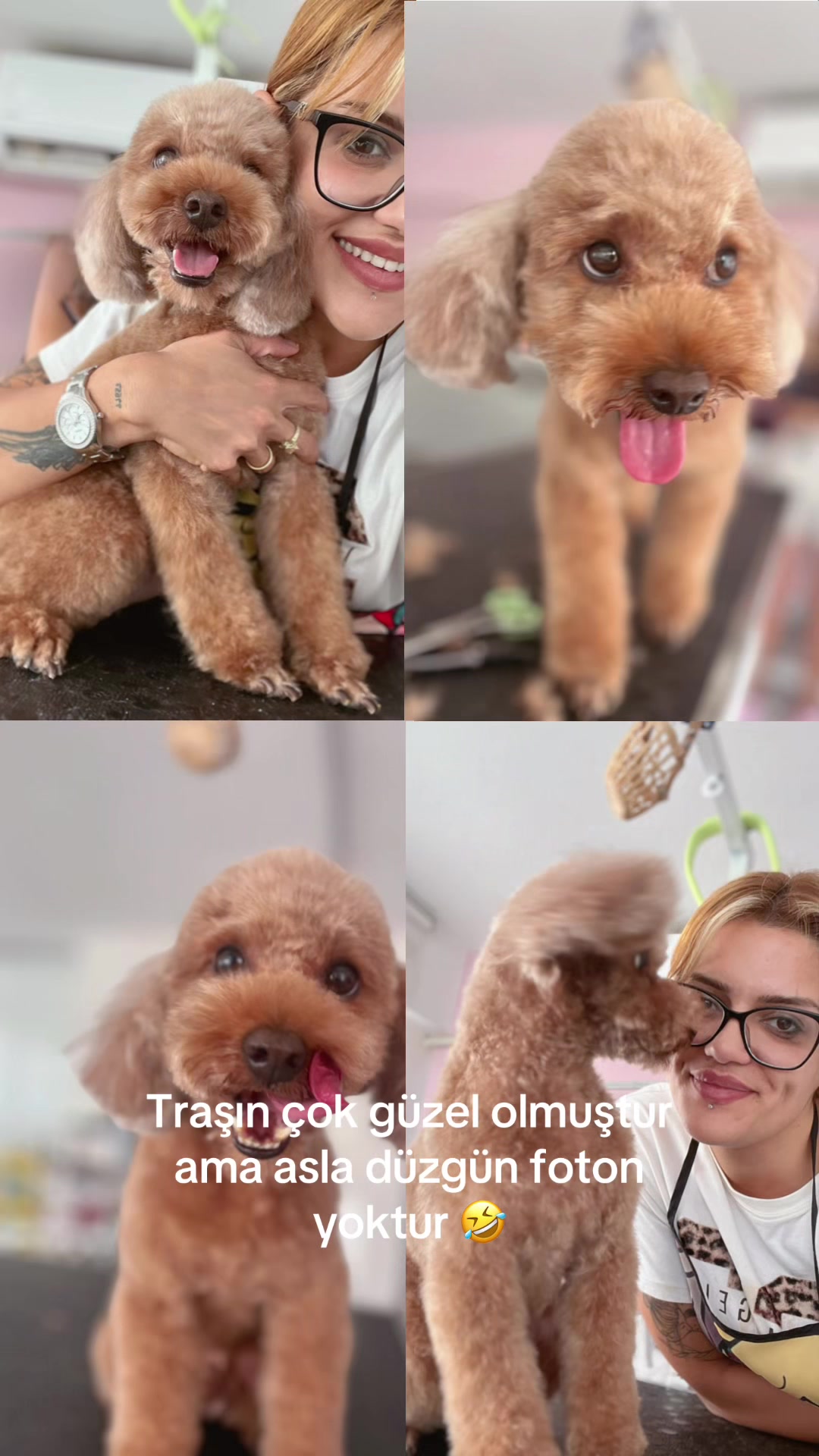 @melikevarol07