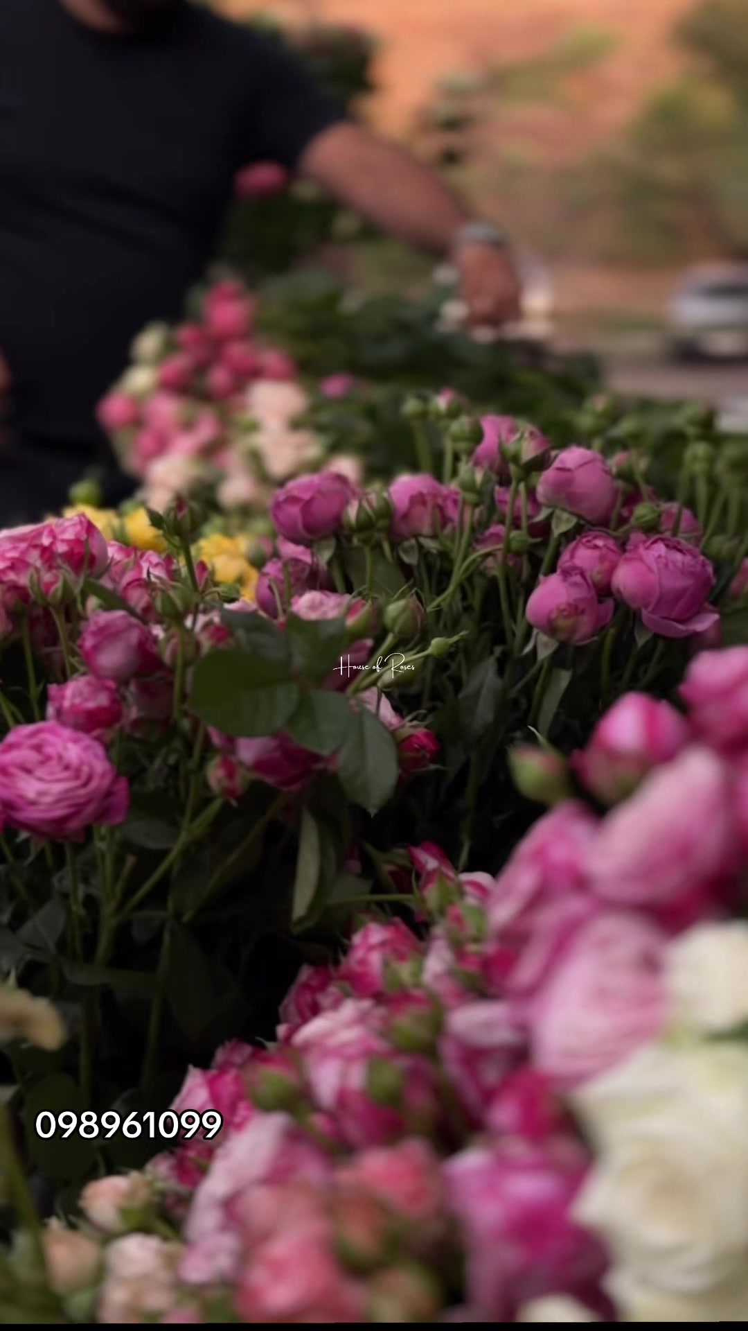 @Թարմ Վարդեր 🌹