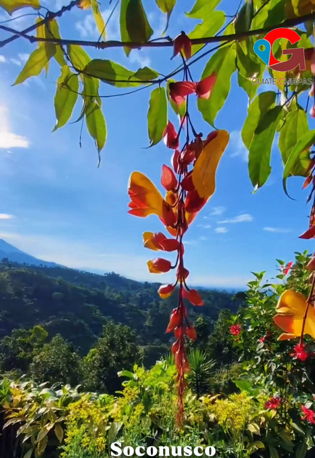 @GuiateChiapas