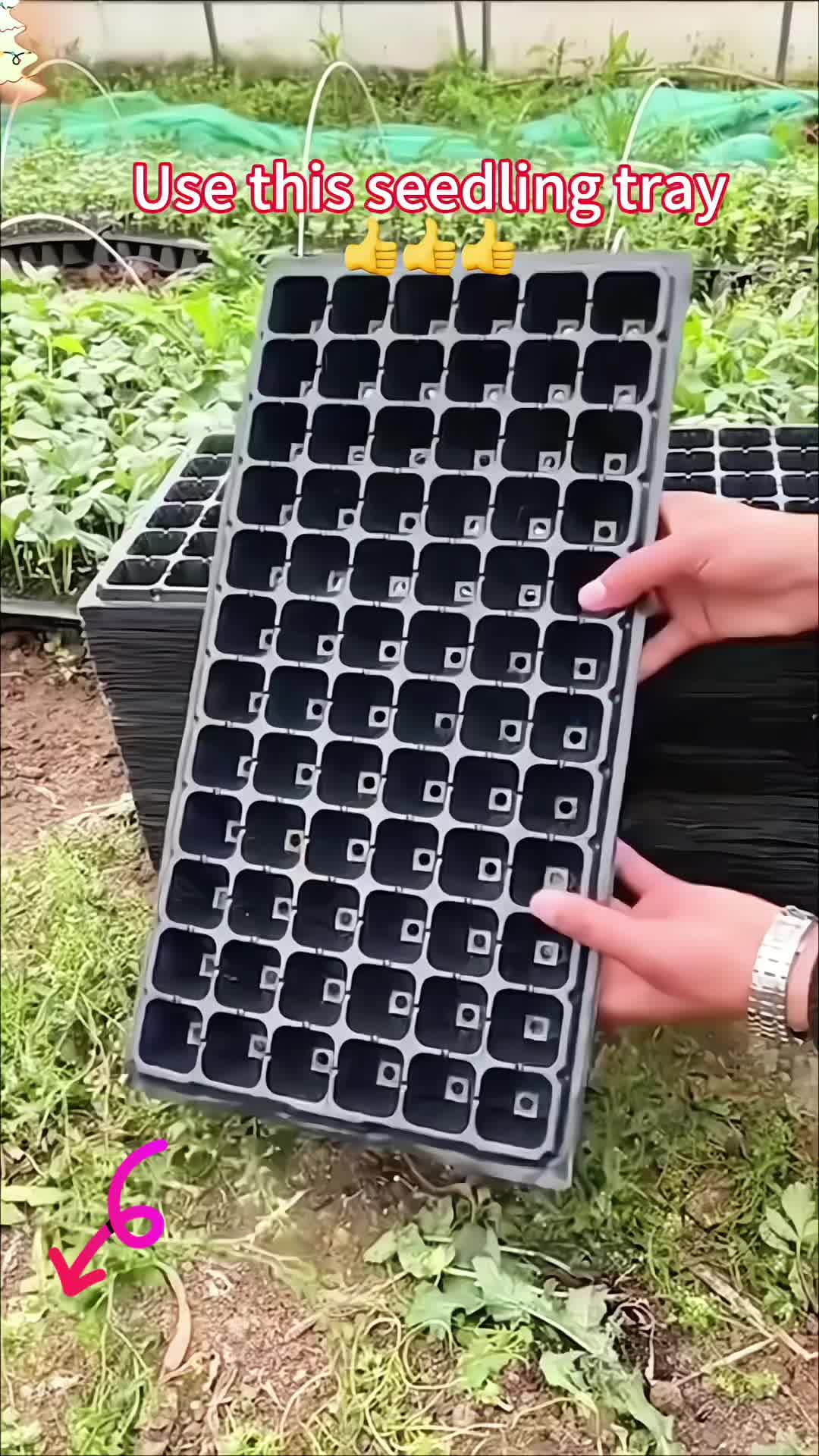 @Sue