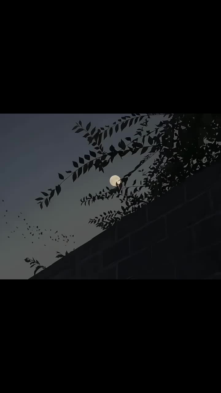 @𓆩♡𓆪