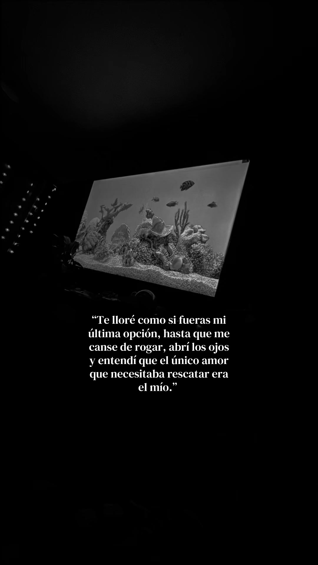 @G@B&yen; 👑
