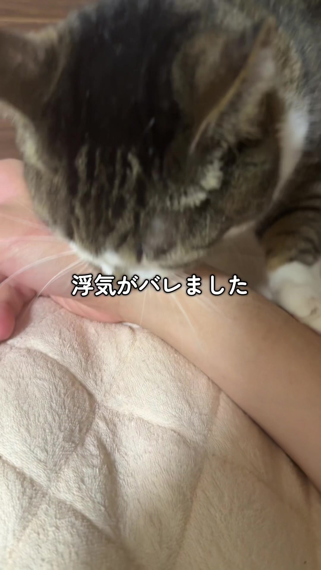 @ใจใใ๐๐ค๐3/28๐