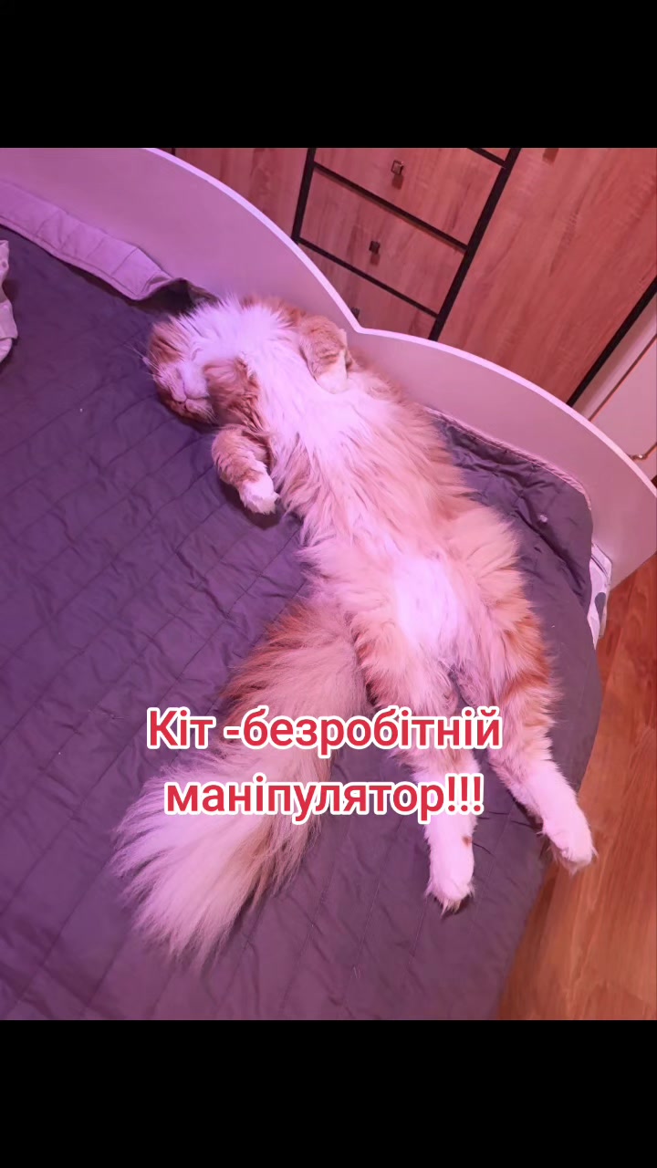@Олена Губа