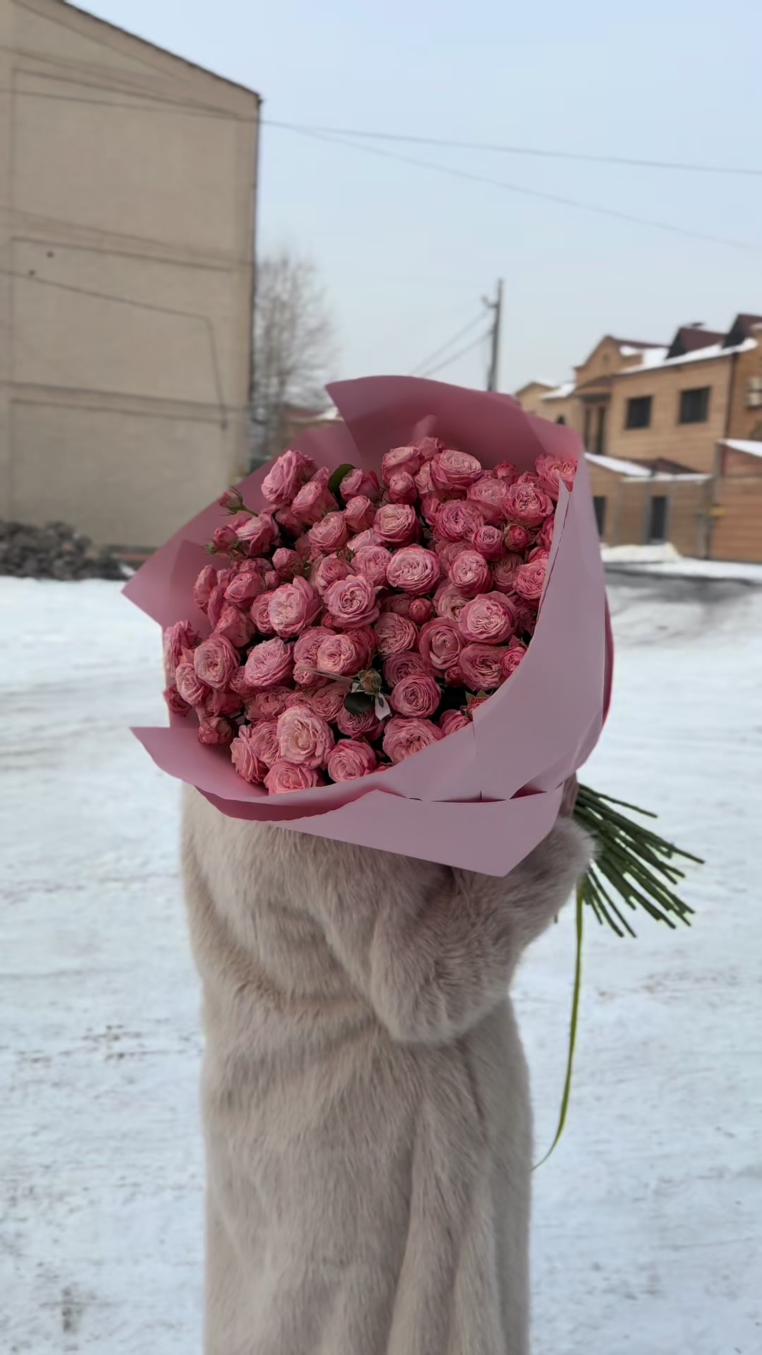 @Daisy_flowers_yerevan