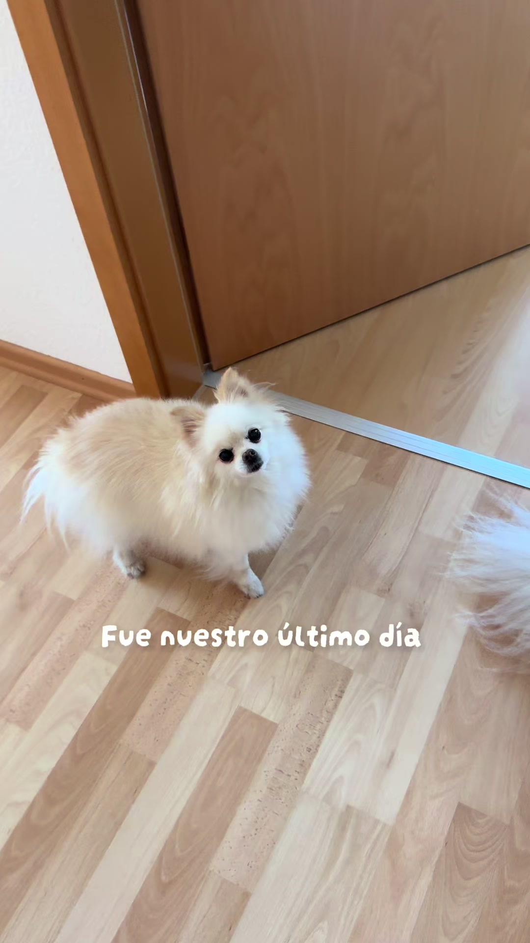 @✨Soy Estef✨