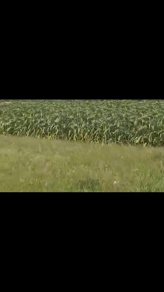 @Moldova în obiectiv