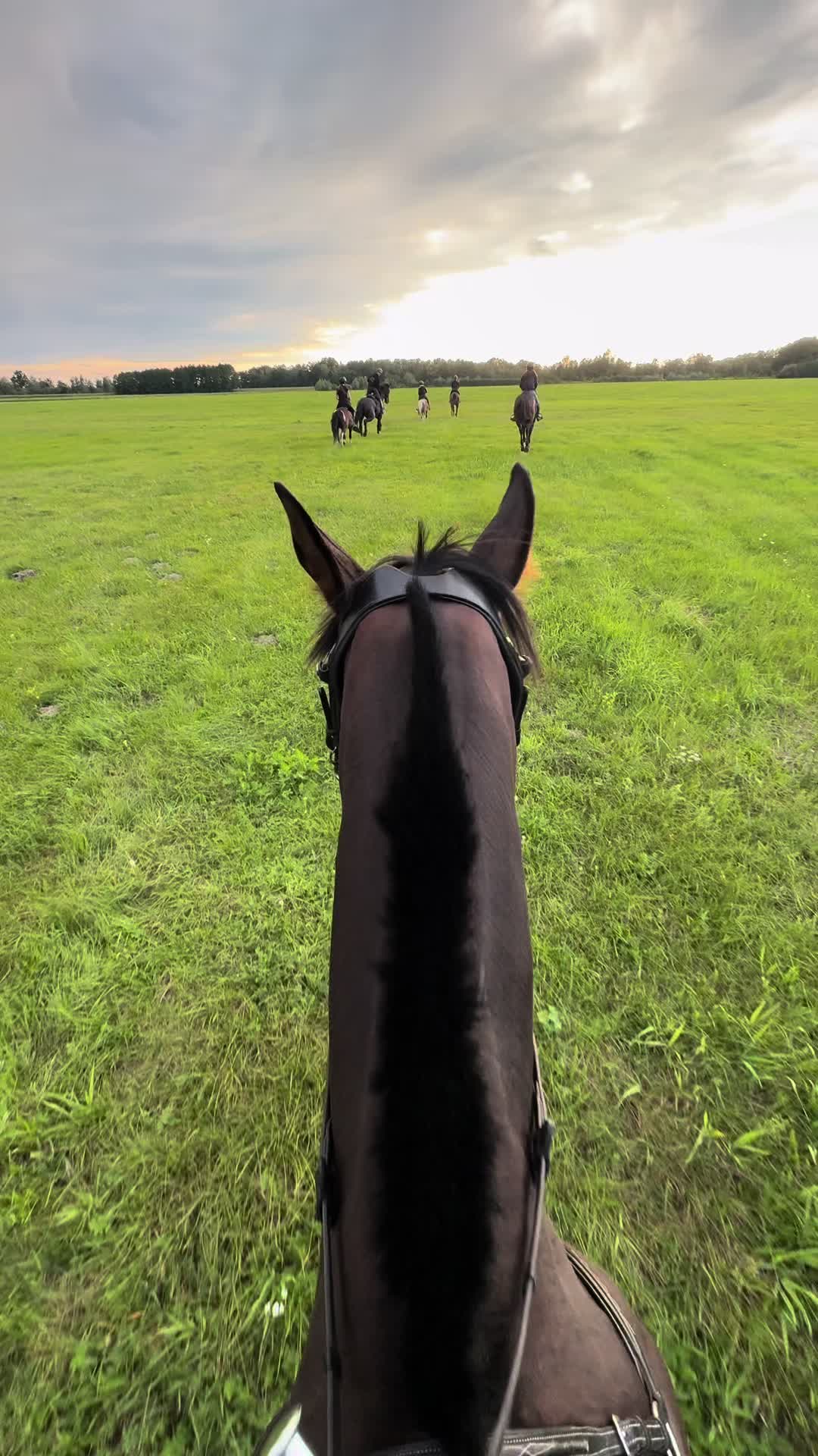 @zofka_eq
