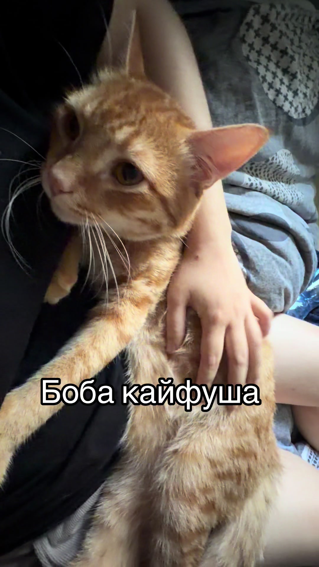 @кастрюля