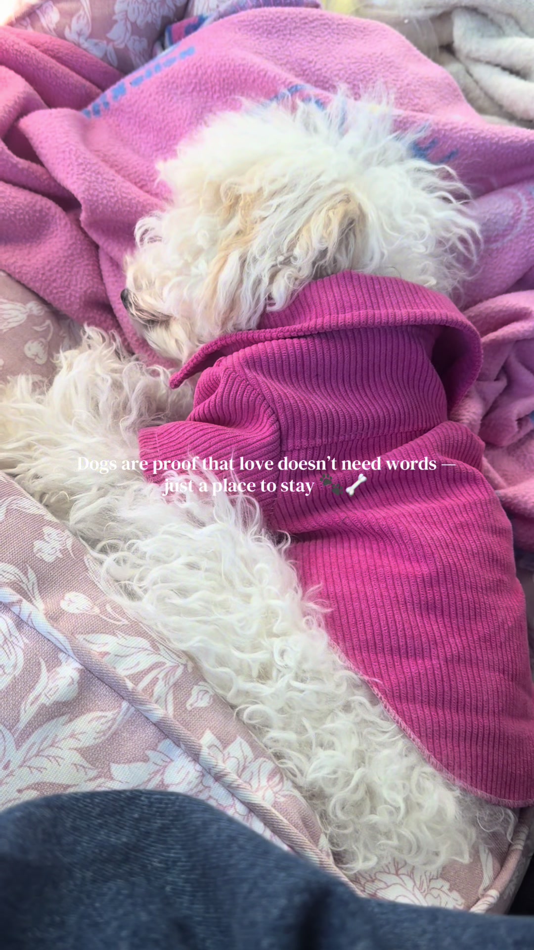 @𝒦𝓇𝓎𝓈𝓉𝒶𝓁 🌸
