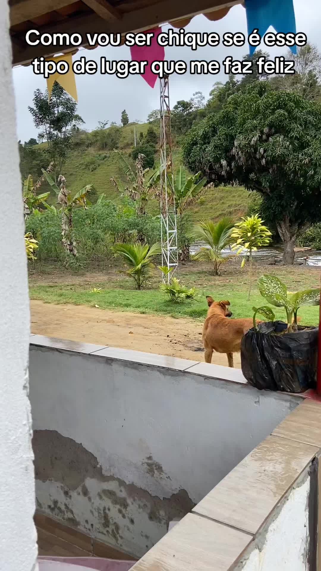 @Roça 🤠🌱
