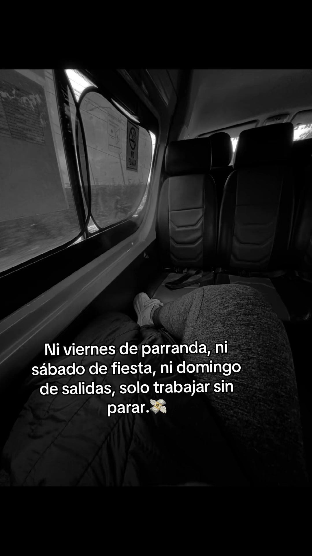 @Vane👩👦🦕