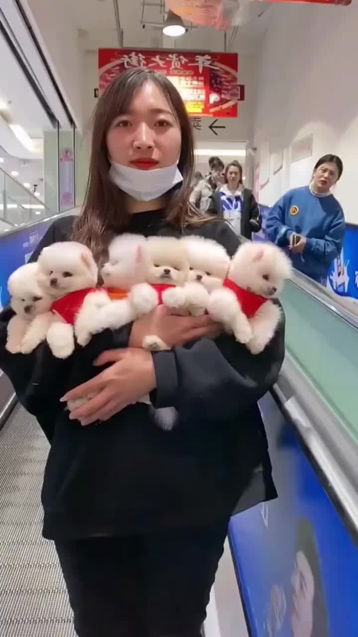 @𝙎𝙩𝙖𝙩𝙪𝙨_𝙆𝙞𝙣𝙜👑