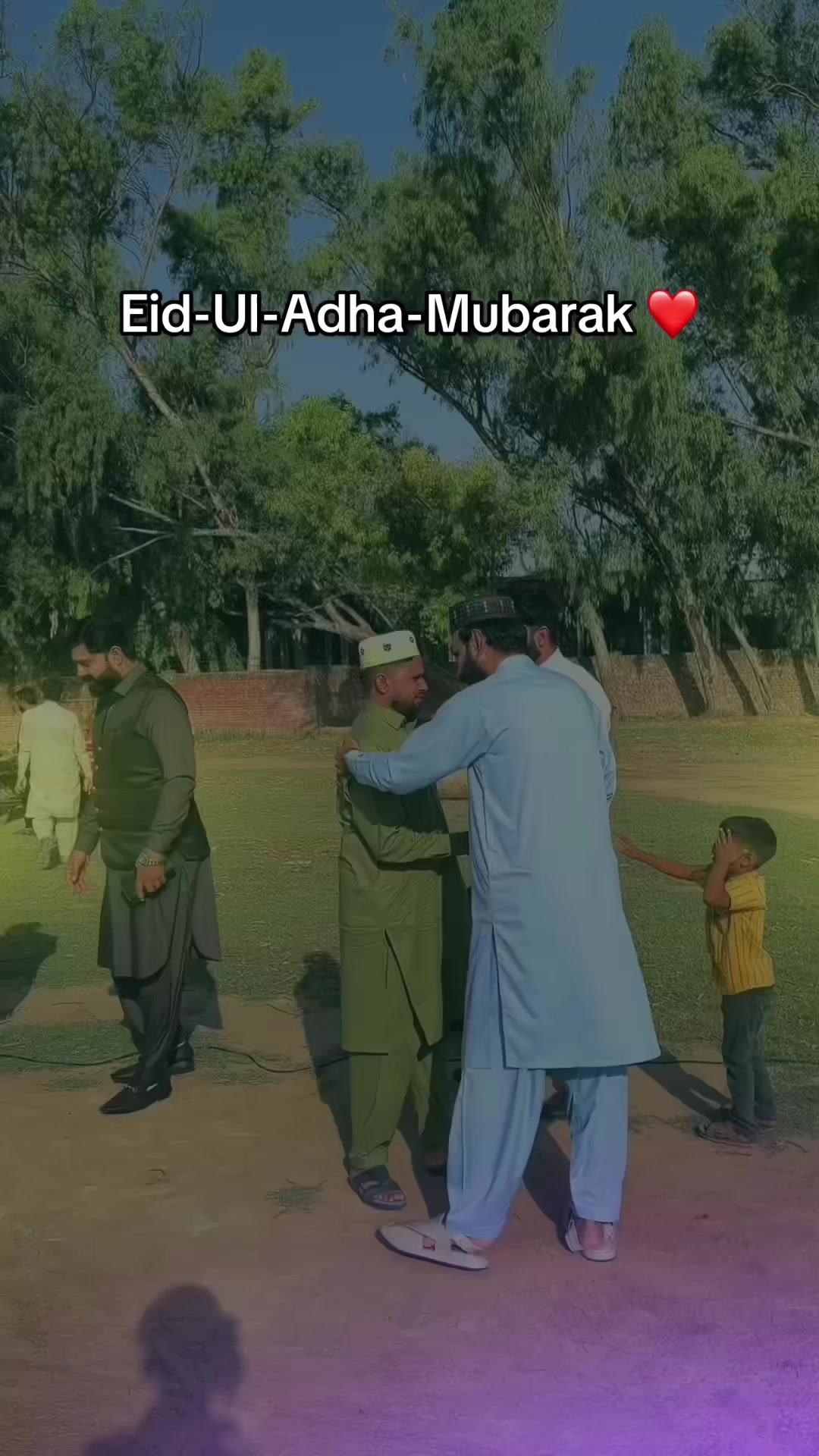 @alihamza10005
