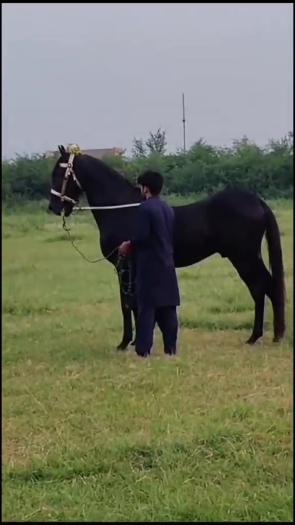 @HassanKazmi