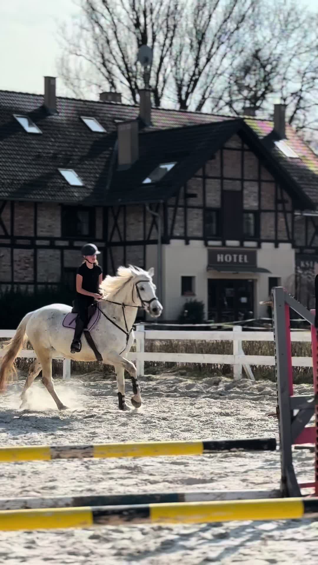 @🐴💗TA OD BELLI I ARY💗🐴