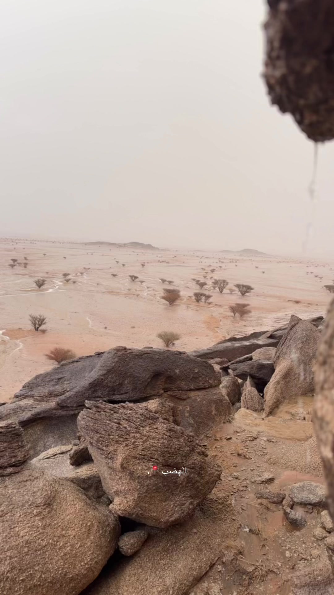 @شافي الشهيلي 🇸🇦.
