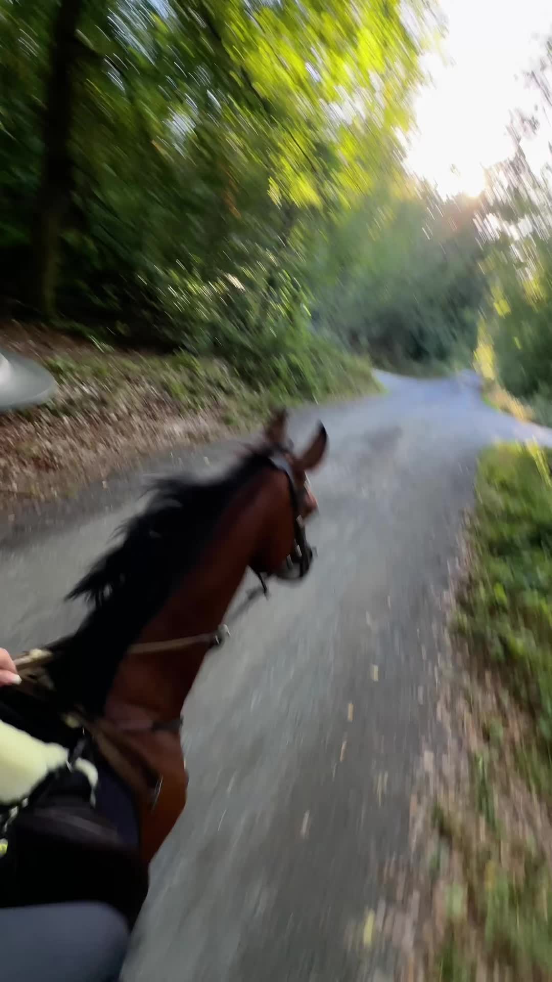 @callitoos.horselife