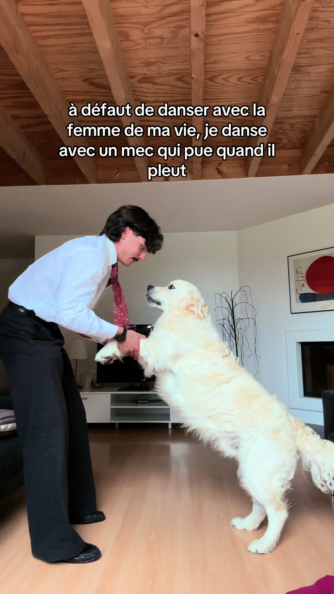 @absol_ument_2