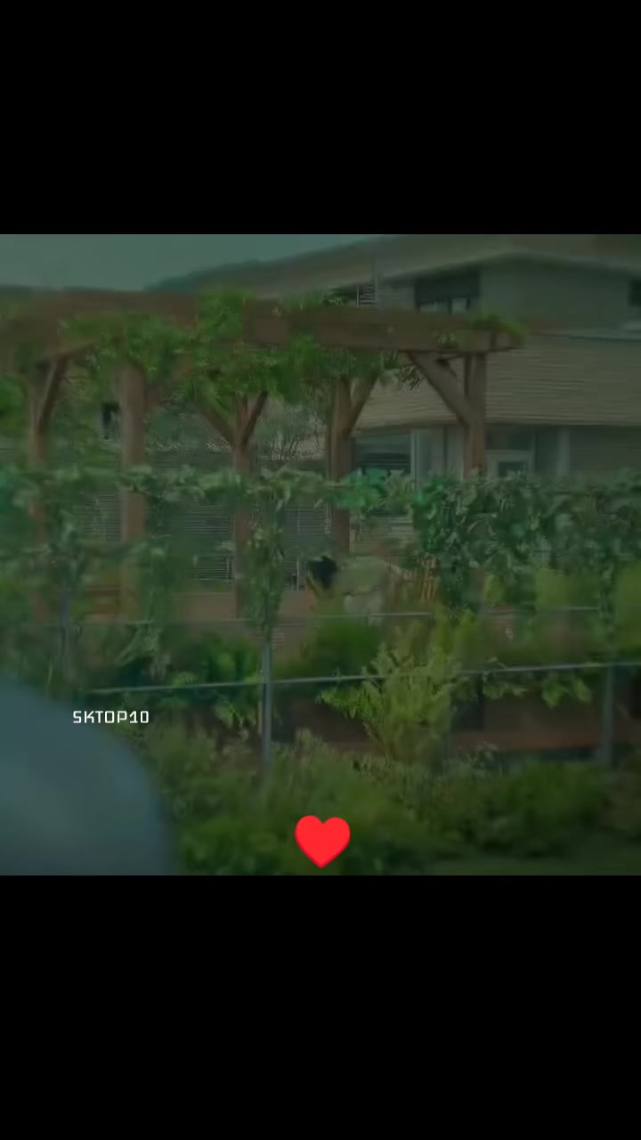 @sktop10