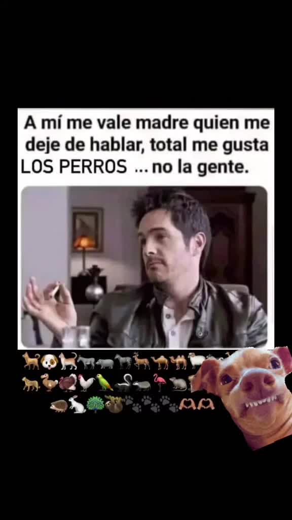 @Sami en TikTok 🇨🇴👑🌸🌼💜
