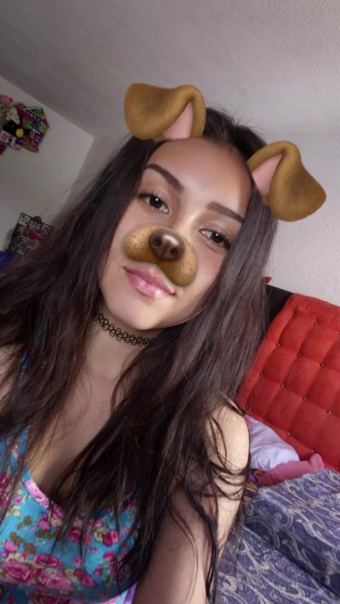 @Dulce polly 🐾