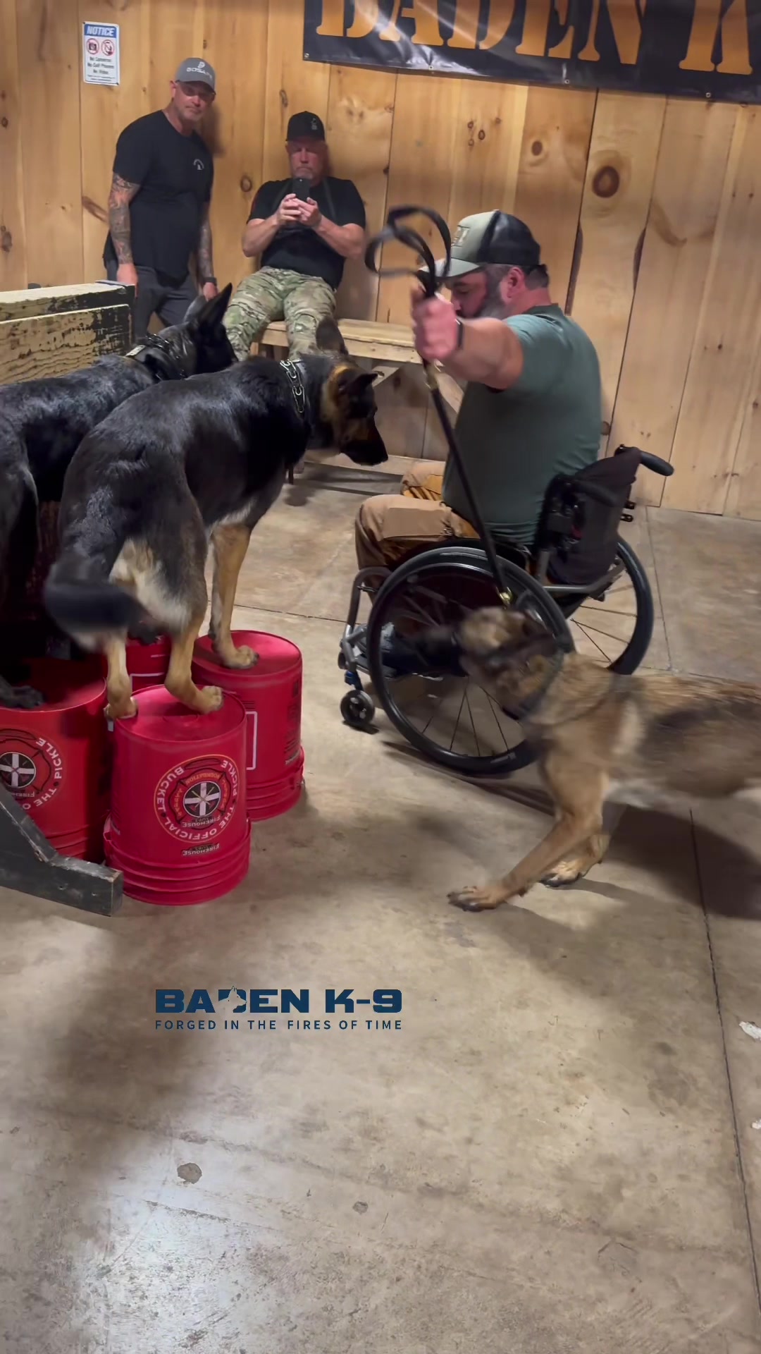 @Baden K9