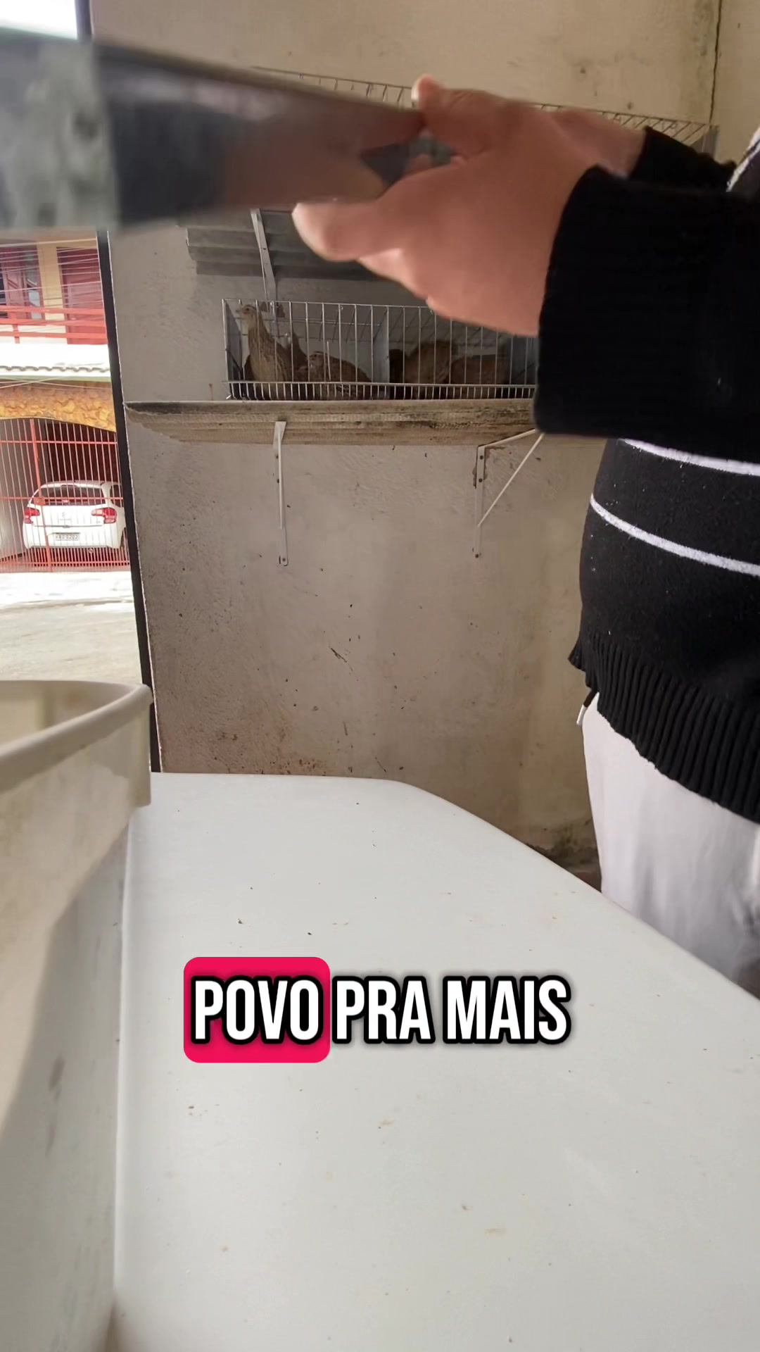 @gordimvideos
