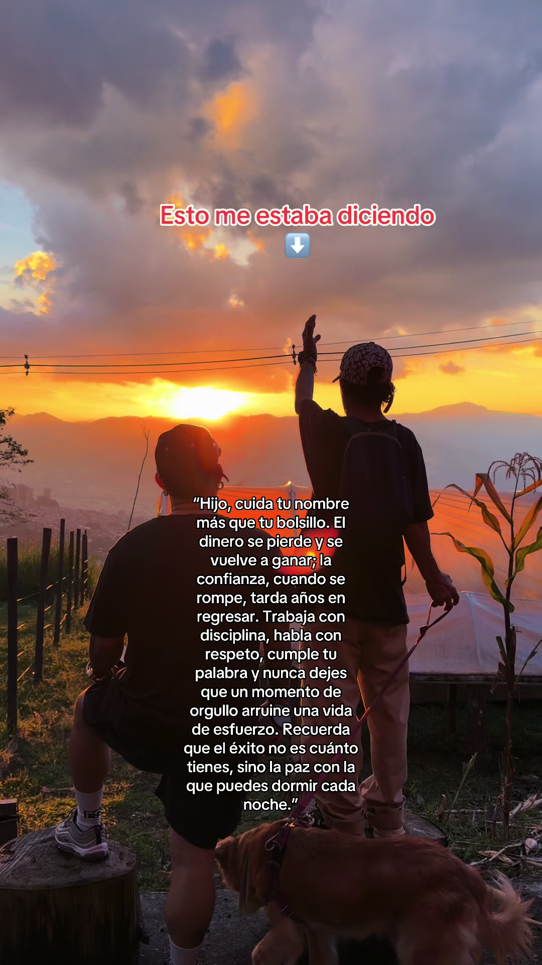 @Yosoyarionoficial
