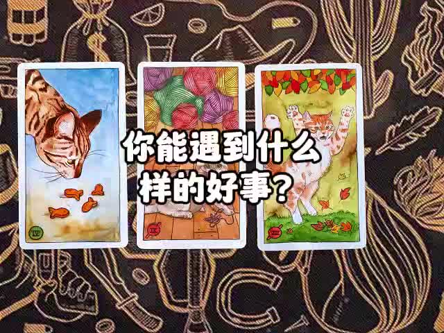 @塔羅療愈🔮