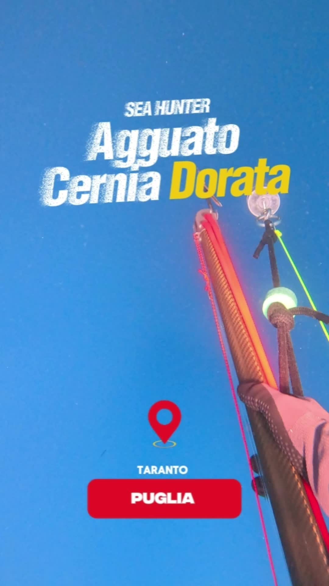 @SeaHunter.Italia