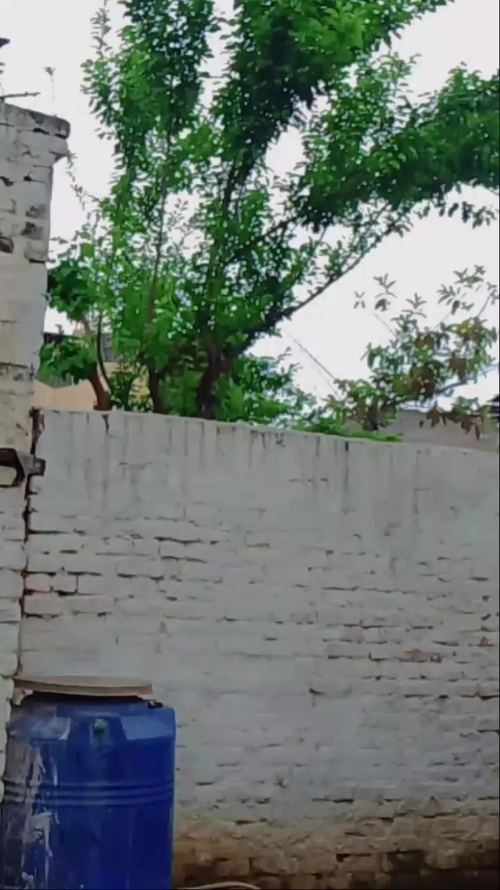 @Atifkhan 404☠️