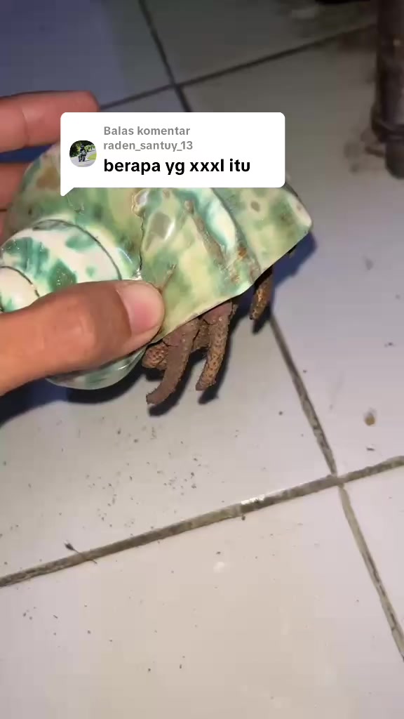 @Kudojiraiya