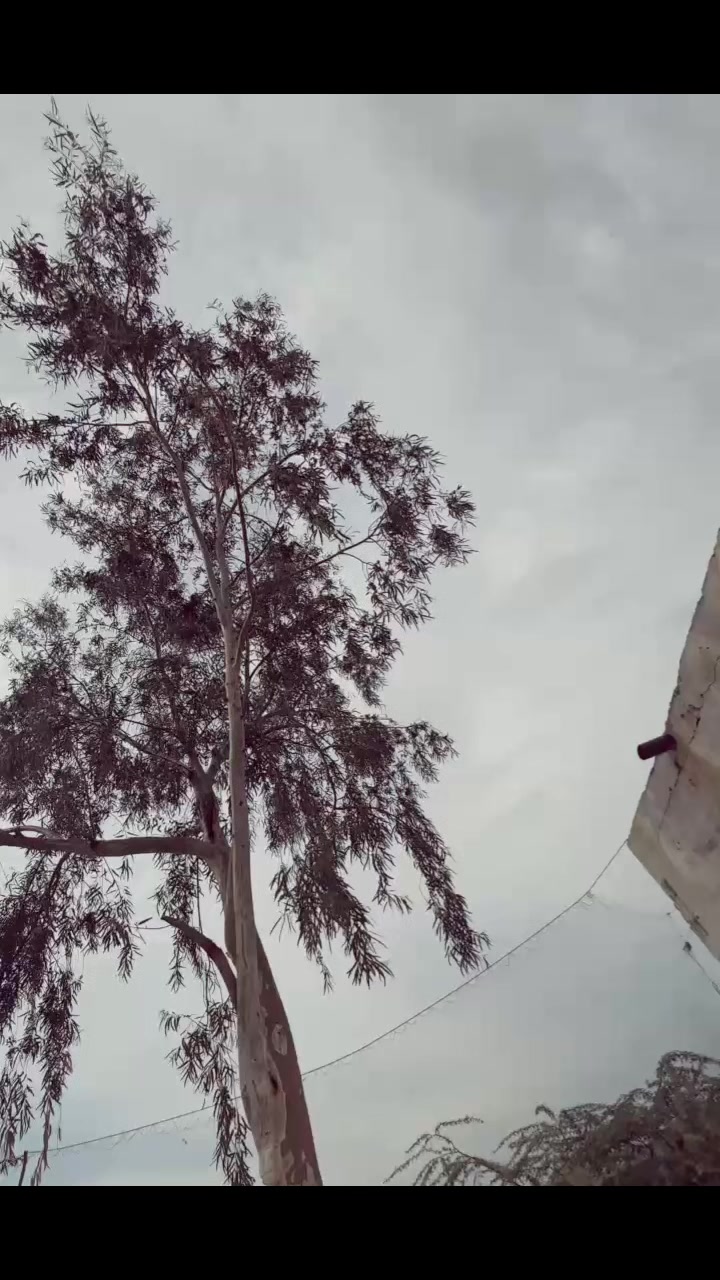 @ⒹⓄⓃ ⒿⒶⓂⒶⓁ