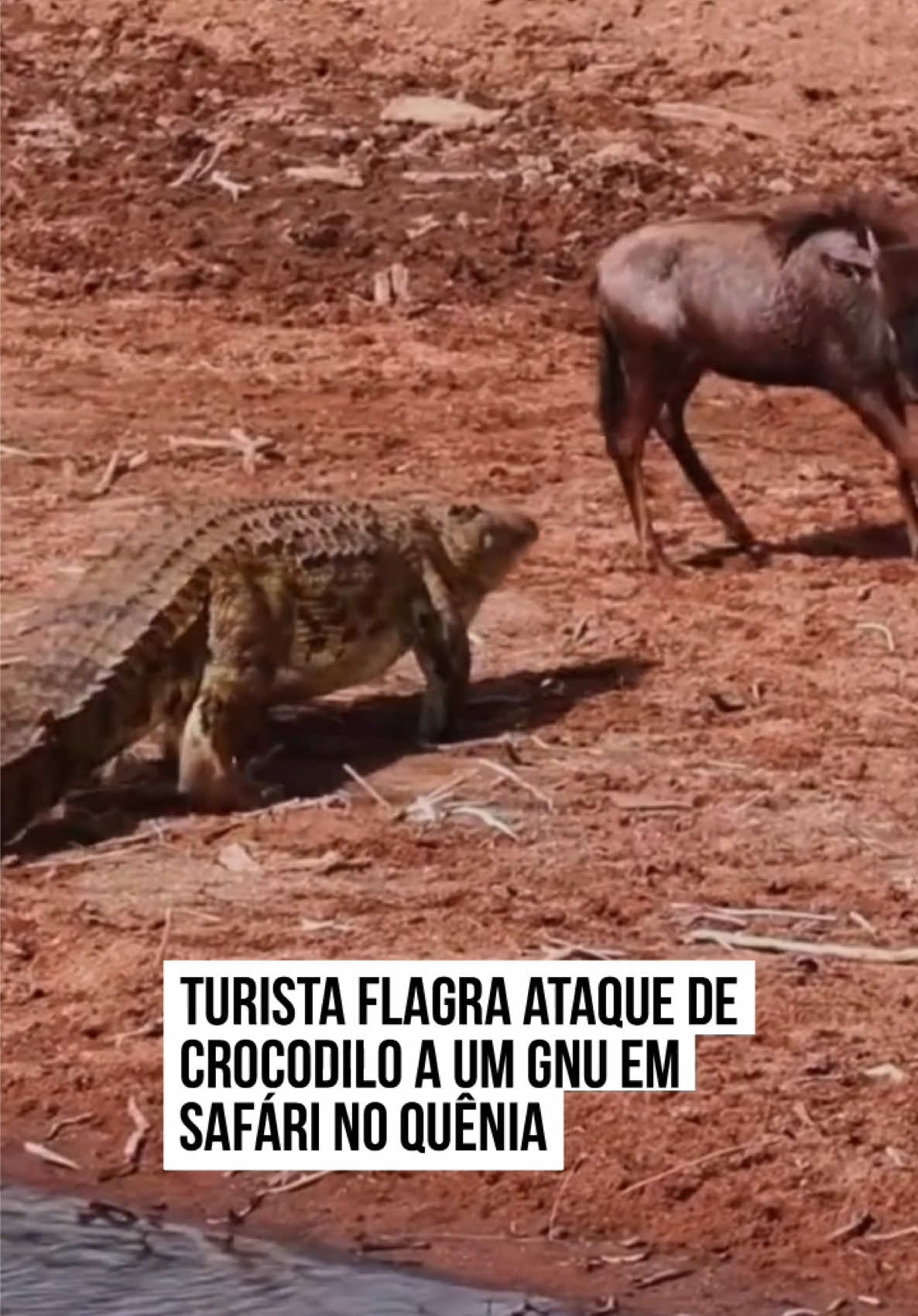 @Metrópoles Oficial