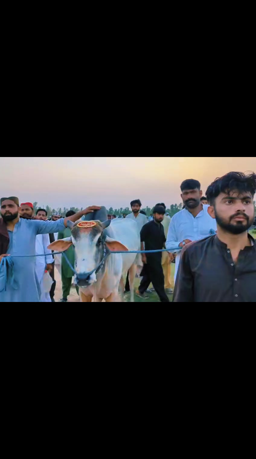 @چوہدری شاہد سلیم مڑل