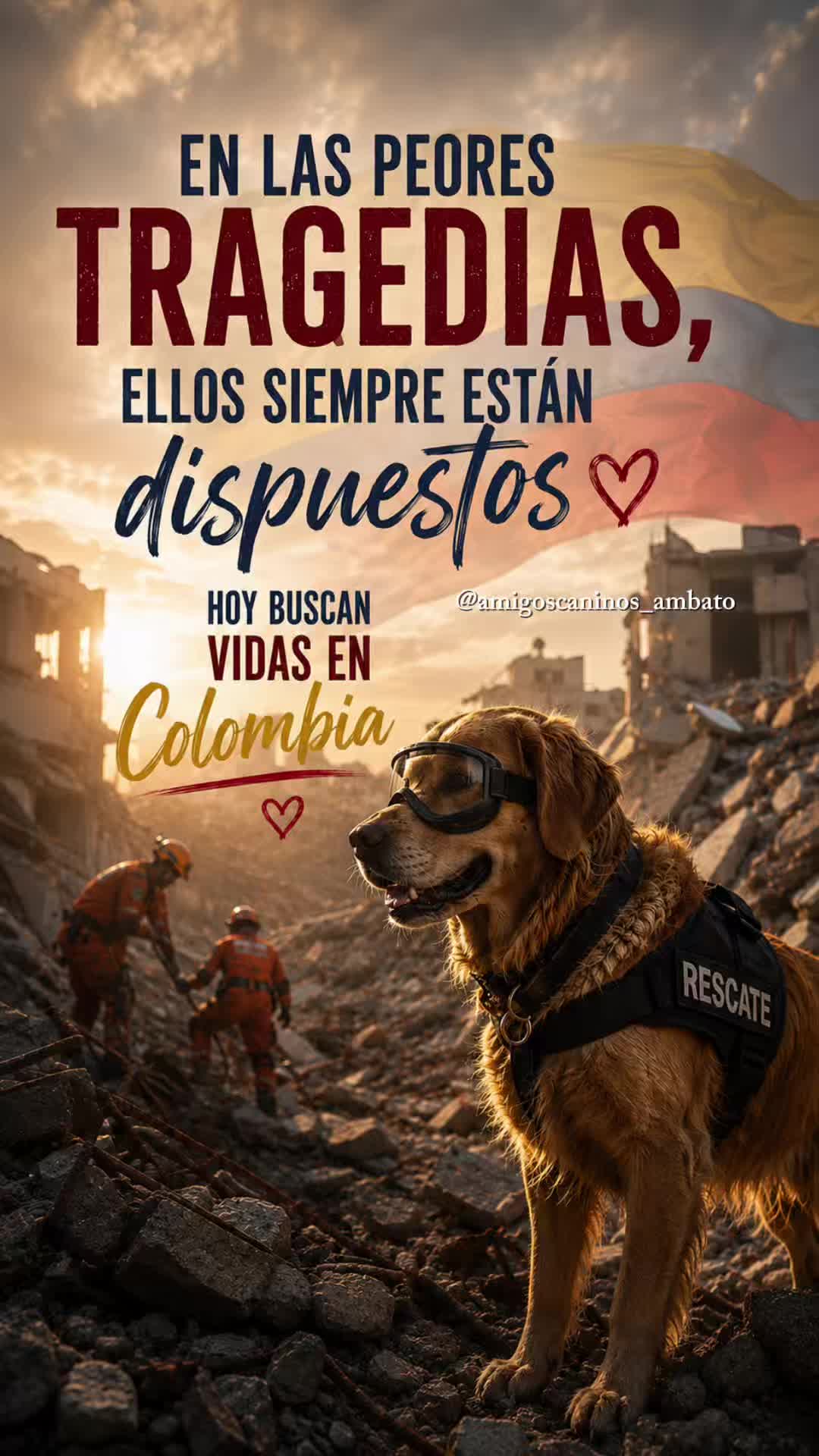 @Amigoscaninos_Ambato