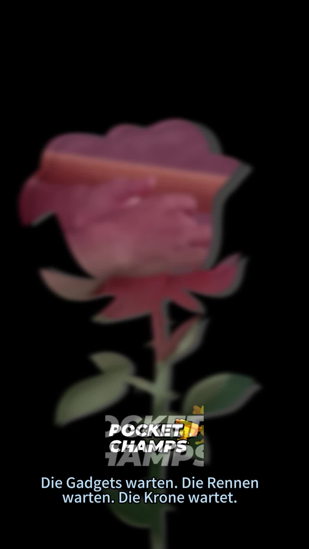 @국내 핫이슈 총정리