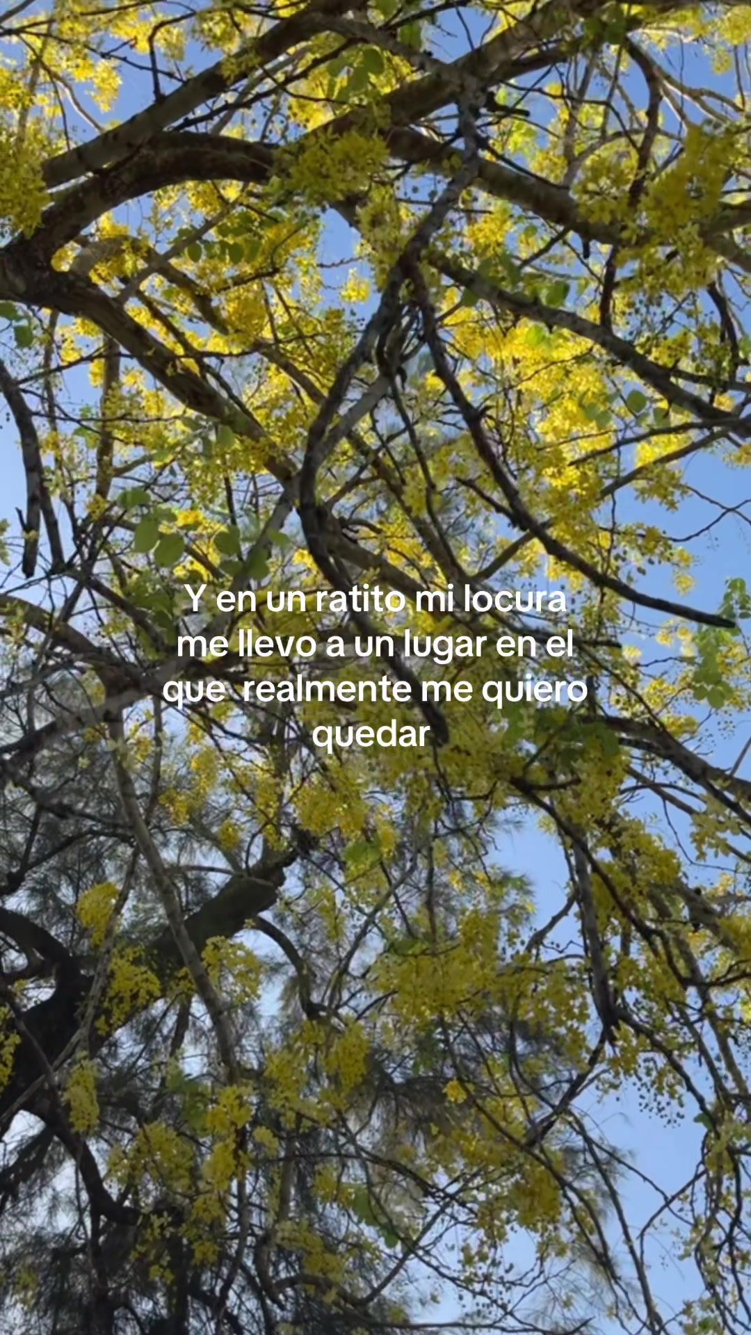 @alecastillomua