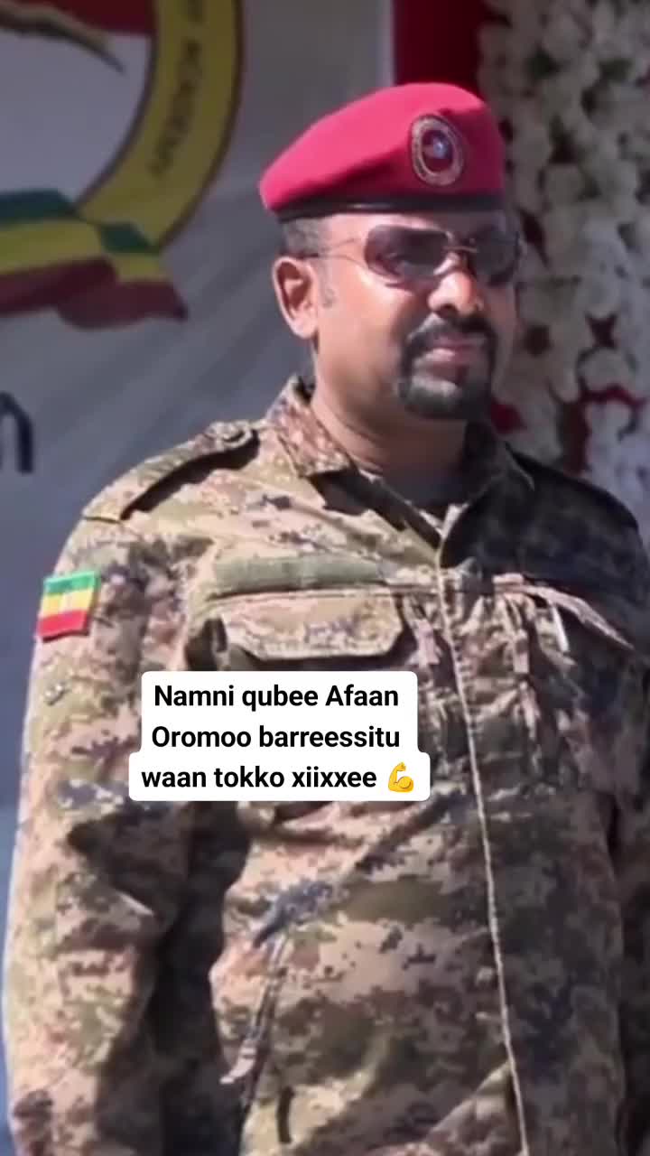 @ABDI SHANAN GIBE MN