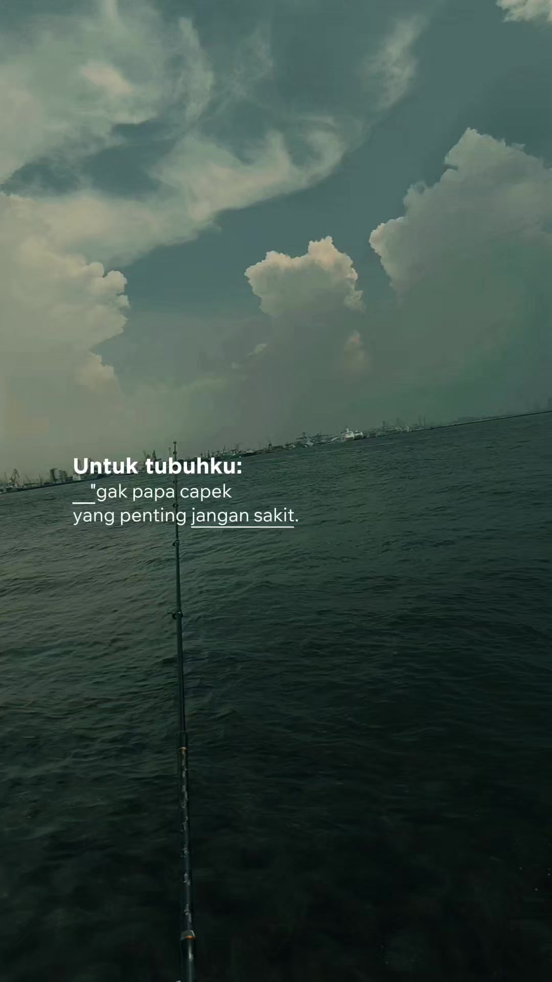 @shanty ravino