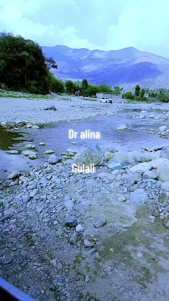 @ALINA