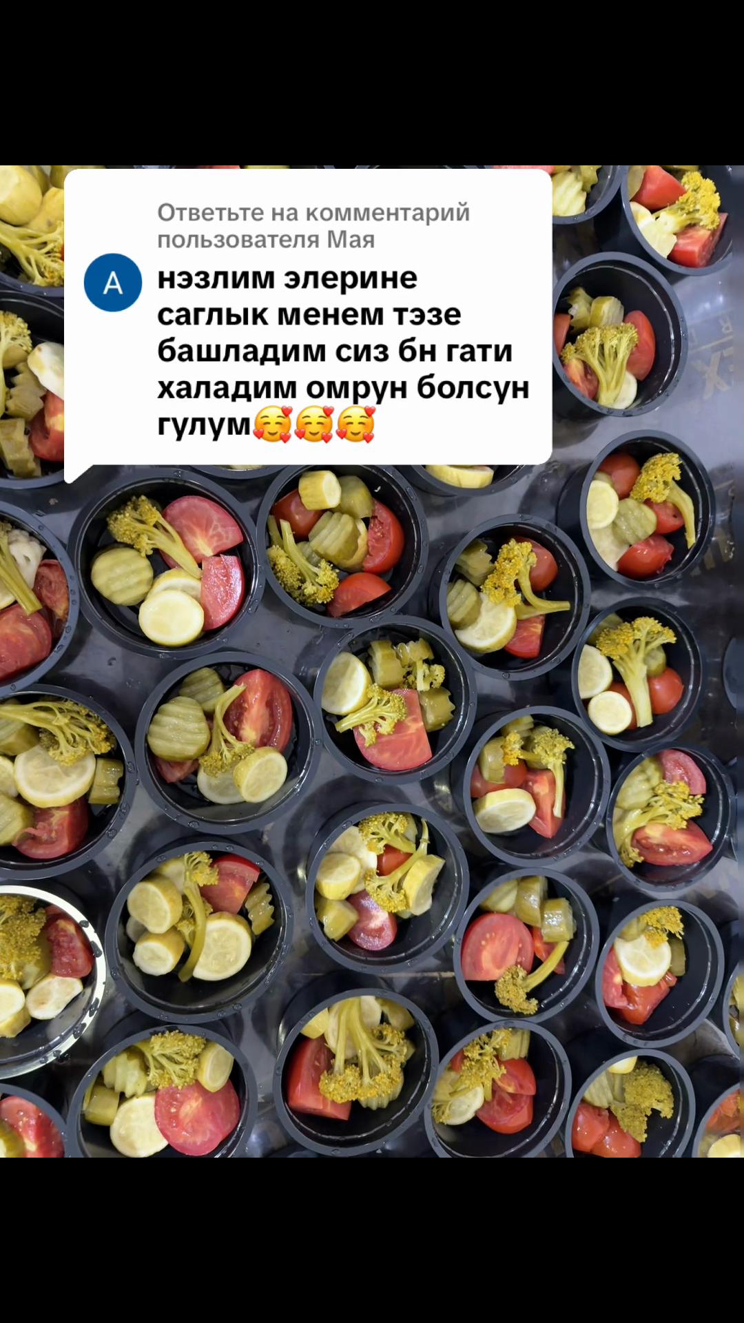 @nazli_bn_horlan