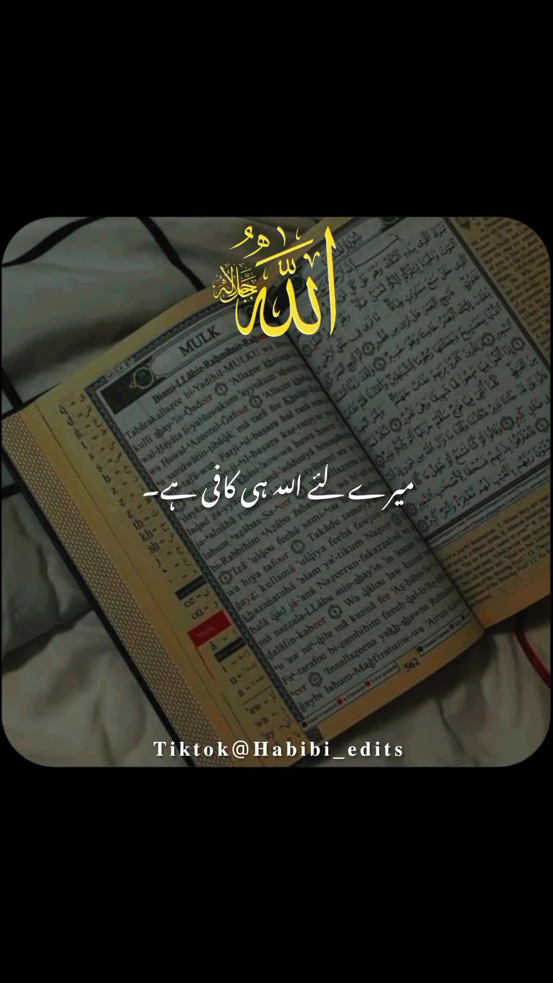 @𝐇𝐚𝐛𝐢𝐛𝐢 𝐞𝐝𝐢𝐭𝐬🌸