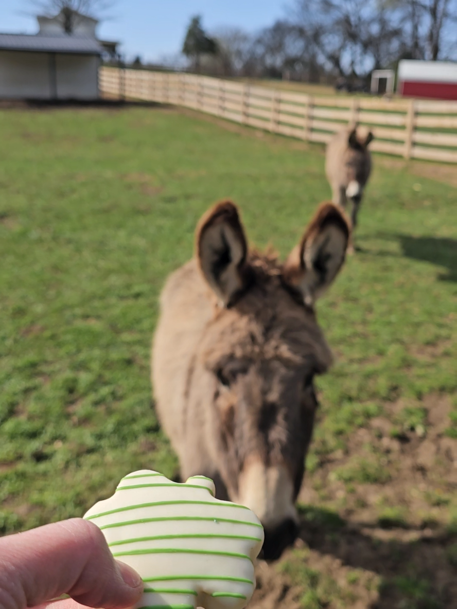 @FIRST TRY FARM
