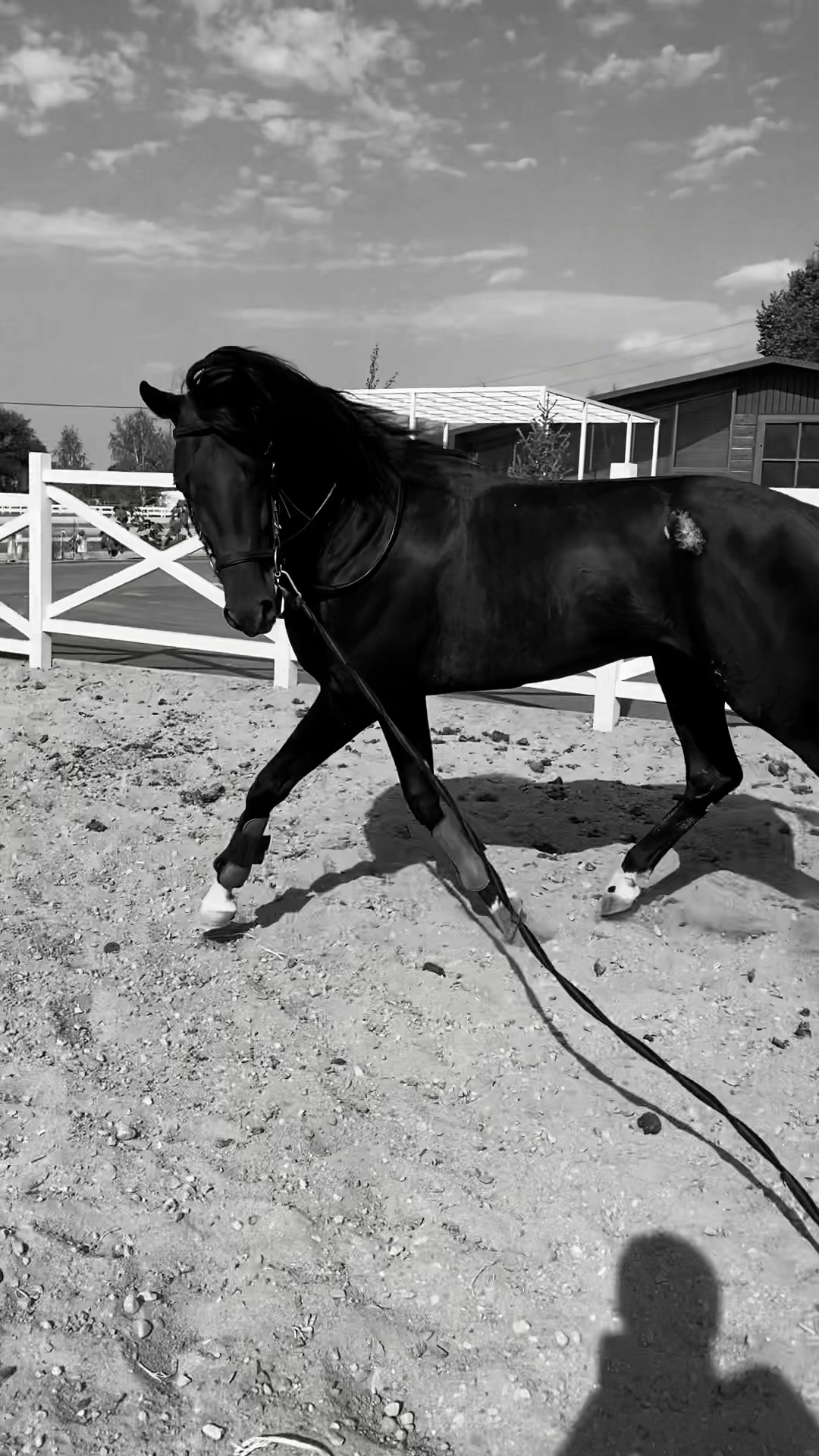 @jockey.hors