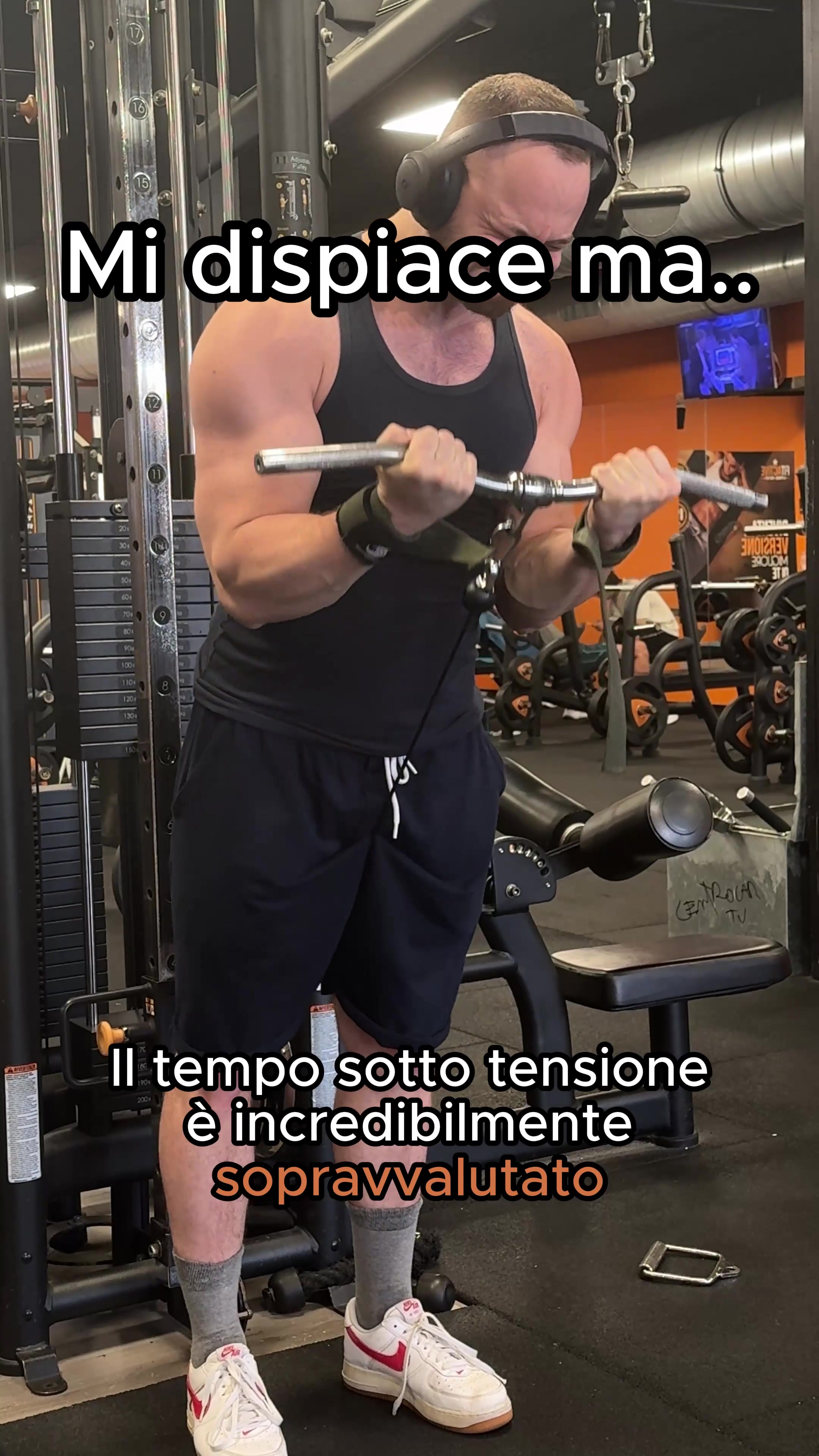 @Ale Vespucci